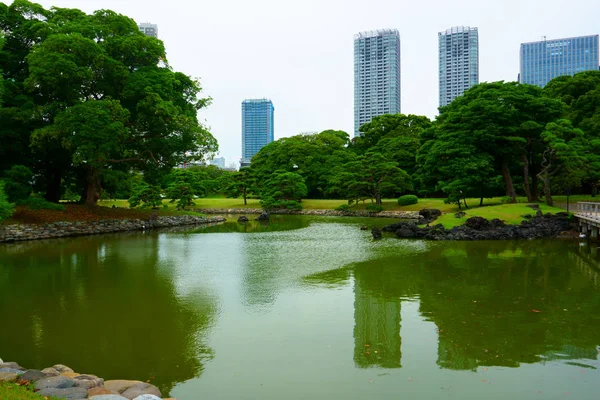 Gran Atractivo Jardín Paisajístico Tokio Jardín Japonés Fondo Edificios Modernos — Foto de Stock