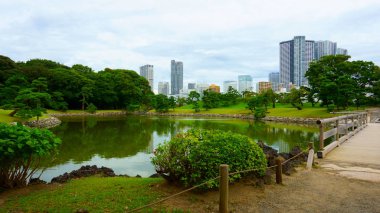 Büyük ve çekici Peyzaj Bahçe Tokyo. Gölet ve modern binalar arka plan üzerinde ahşap köprü