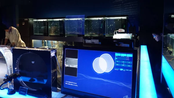 Aqua Lab, megfigyelése és tenyésztési medúza — Stock Fotó