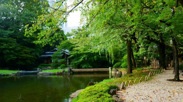 Pond in the Japanese garden. City park. Beginning of autumn — Stock Photo, Image