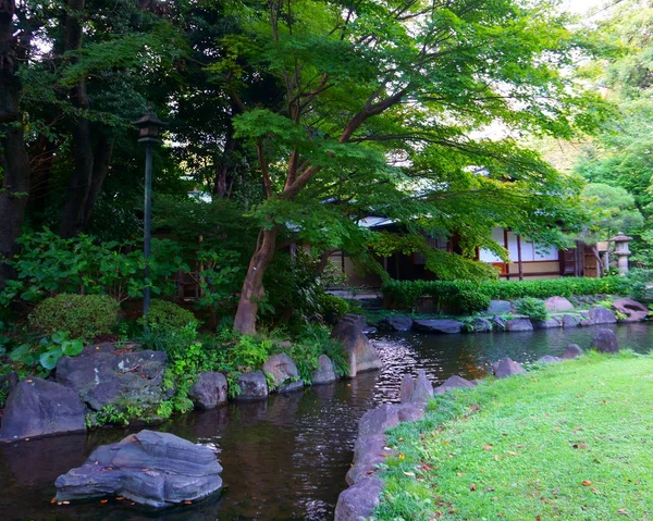 Pond in the Japanese garden. City park in Tokyo — Stock Photo, Image