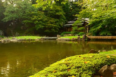 Akşam, şehir parkında gün batımı. Tokyo