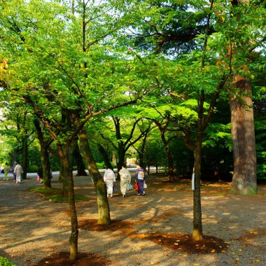 Japon stili. Yasukuni Tapınağı'nda kimono yürüyüşünde Japon kadınlar
