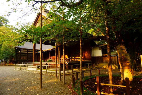 Tree in japanese garden. Heavy old aged branches are supported by wooden poles — Stock Photo, Image