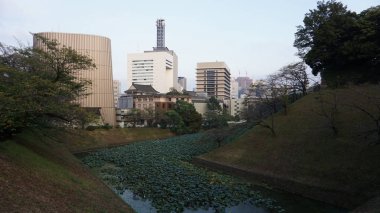 Tokyo Imperial Park çevresinde nilüferli hendek