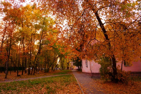 Őszi Sárga Levelek Októberi Táj Régi Rózsaszín Ház — Stock Fotó