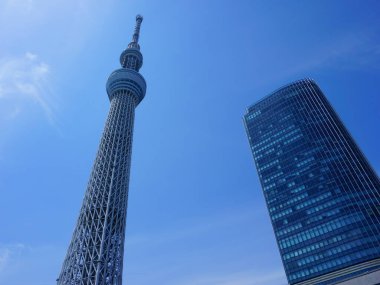 Tokyo Skytree Kulesi 'nin mavi gökyüzü manzarasına bakıyorum. İş konsepti