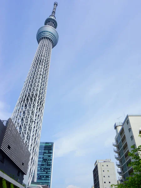 Tokyo Japan Maj 2019 Blickar Upp Mot Tokyo Skytree Tower — Stockfoto