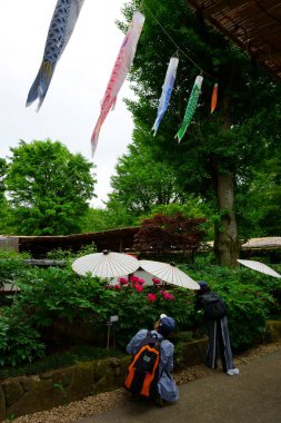 Tokyo / Japonya - 06 Mayıs 2019 Ueno Peony Garden. Çocuk Günü için Koinobori süslemesi. Turistler şakayık çalılarının fotoğrafını çeker.