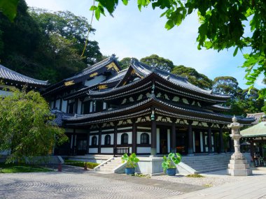 Kamakura / Japonya. Hesedera Tapınağı Kannon-do (Ana Salon), Kannon 'un büyük ahşap heykeli ile ünlüdür.