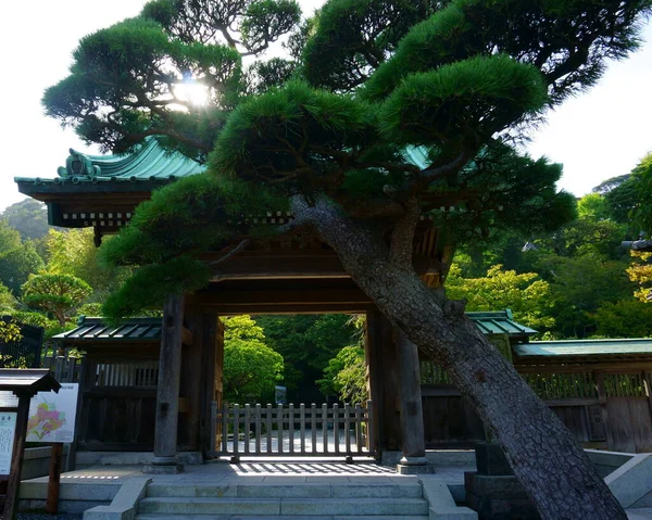 Kamakura Japão Setembro 2019 Portão Frente Templo Hase Dera Dos — Fotografia de Stock