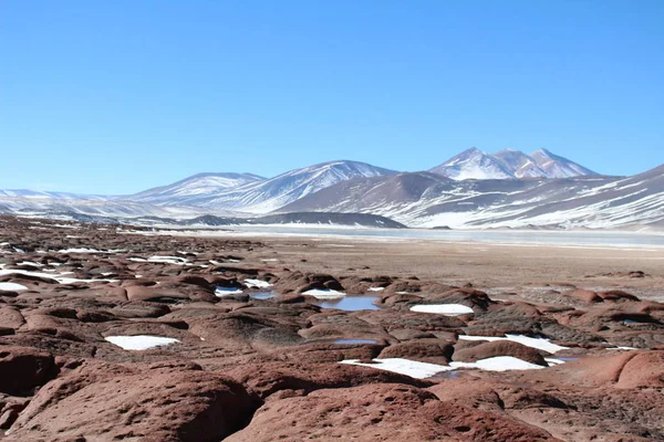 Atacamas Wüste Während Der Reise — Stockfoto