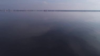 Ördek suda yüzebilir. Dalış ve float. doğanın güzelliği. havadan çekim