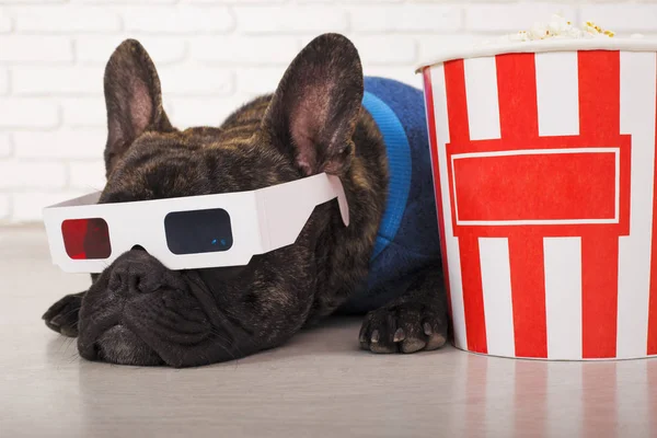 Hund Französische Bulldogge liegt in 3D-Gläsern mit Popcorn — Stockfoto