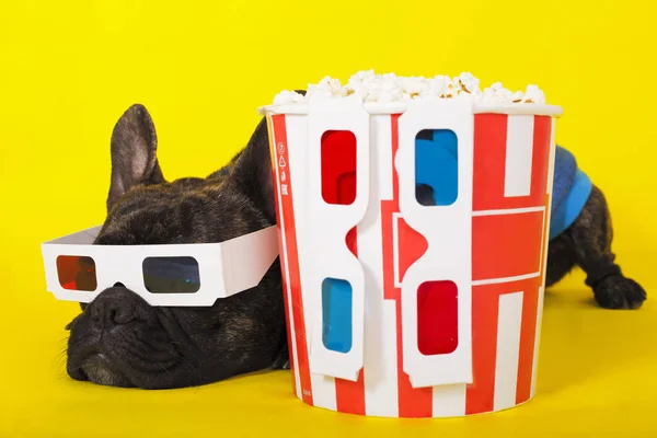 Hund Französische Bulldogge liegt in 3D-Gläsern mit Popcorn. auf gelb ba — Stockfoto