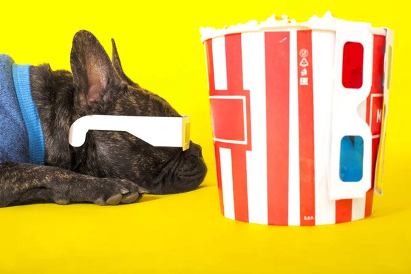Hund Französische Bulldogge liegt in 3D-Gläsern mit Popcorn. auf gelb ba — Stockfoto