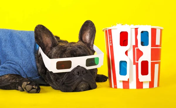 Hund Französische Bulldogge liegt in 3D-Gläsern mit Popcorn. auf gelb ba — Stockfoto