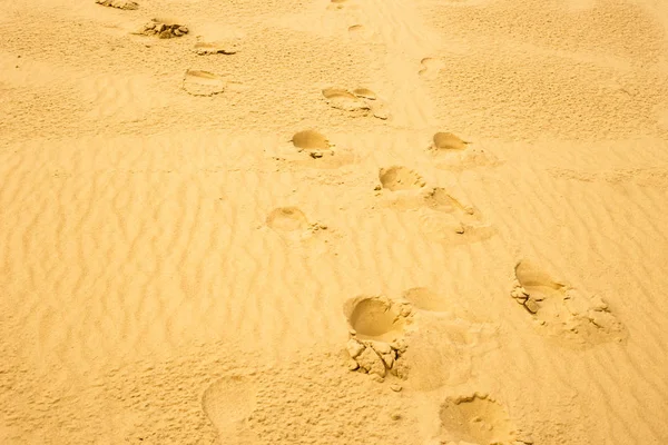 beautiful background. sand. footprints in the sand