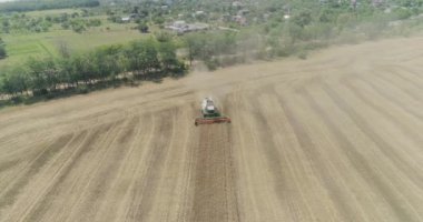Yakın çekim Aerial view 4k çözünürlüklü modern biçerdöver, olgun buğday topluyor ve bir buğday tarlasında toz bulutu bırakıyor. Yukarıdan görüntüle