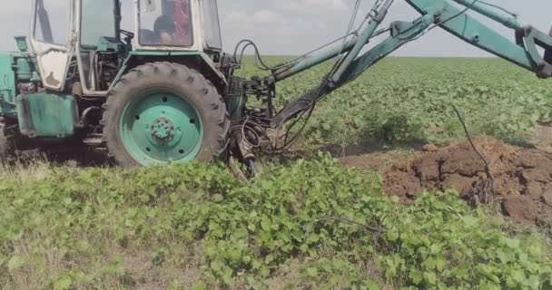 Koparka Kopie Rów Pomagając Zapobiec Pożarowi Który Może Przejść Pola — Wideo stockowe