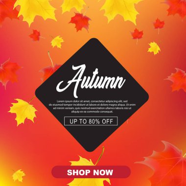 sonbahar arka plan ile akçaağaç yaprakları. vektör çizim. okula dönüş. Öğretmenler günü. Şükran günü arka plan. Büyükbaba ve Büyükanneler günü