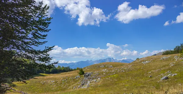 Bergslandskap i sommaren mulen dag — Stockfoto