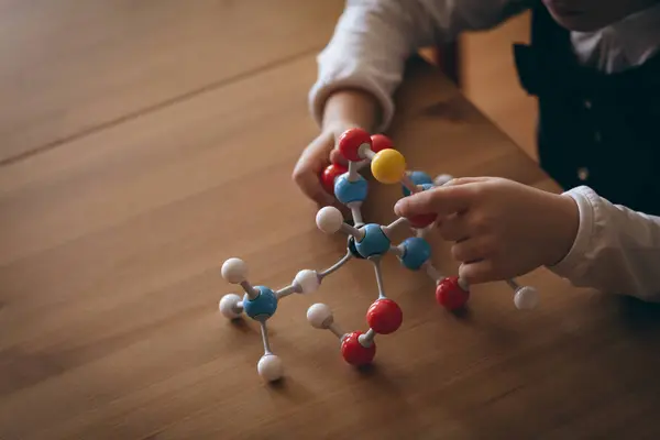 Mid Section Girl Experimenting Molecule Model Home — Stock Photo, Image