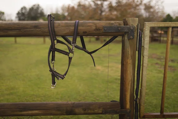 Close Van Paard Harnas Houten Ranch — Stockfoto