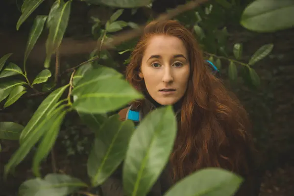 森の中の緑の葉を通して見る美しい女性ハイカー — ストック写真