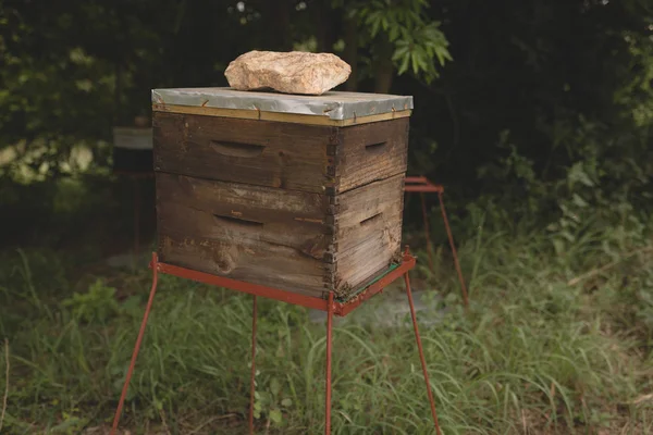 Primer Plano Caja Colmenas Granja — Foto de Stock