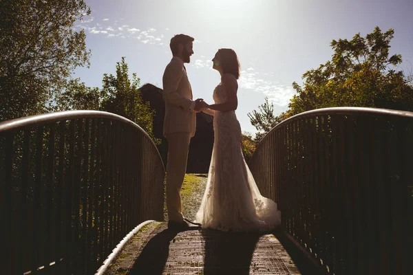 Novia Novio Tomados Mano Pasarela Jardín — Foto de Stock