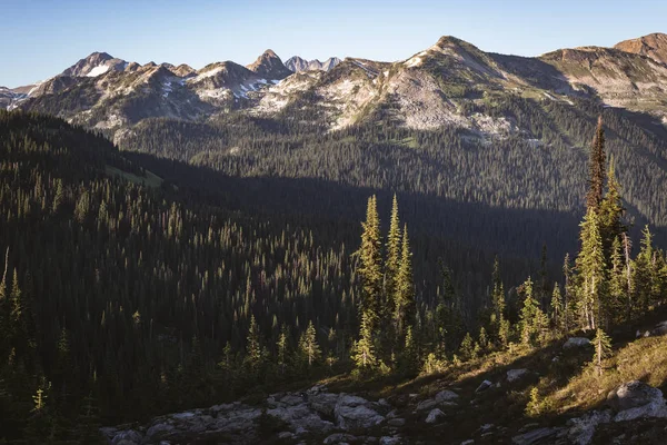 Hustý Les Zakryl Rocky Mountains Slunečný Den — Stock fotografie