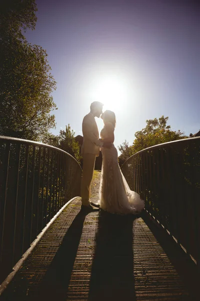 Νύφη Και Γαμπρός Φιλάει Στην Πεζογέφυρα Στον Κήπο Μια Ηλιόλουστη — Φωτογραφία Αρχείου