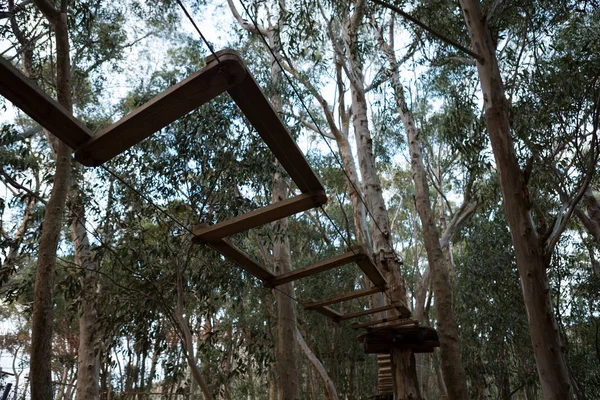 Visão Baixo Ângulo Obstáculos Madeira Curso Cordas Floresta — Fotografia de Stock