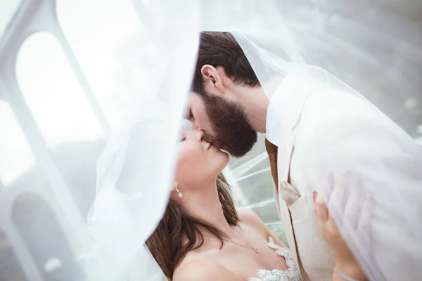 Крупный План Поцелуев Жениха Невесты Вуалем — стоковое фото