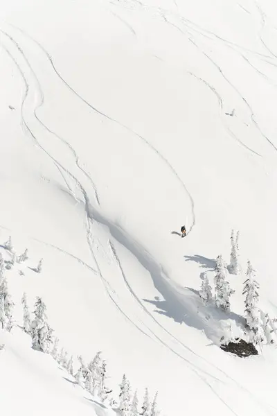 Ski Skieur Sur Une Montagne Enneigée Hiver — Photo
