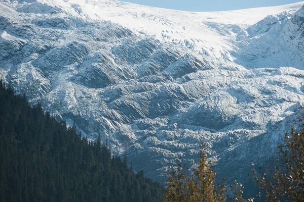 美丽的森林和雪山的雄伟景色 — 图库照片