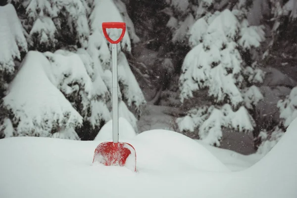 Lopată Într Peisaj Înzăpezit Timpul Iernii — Fotografie, imagine de stoc