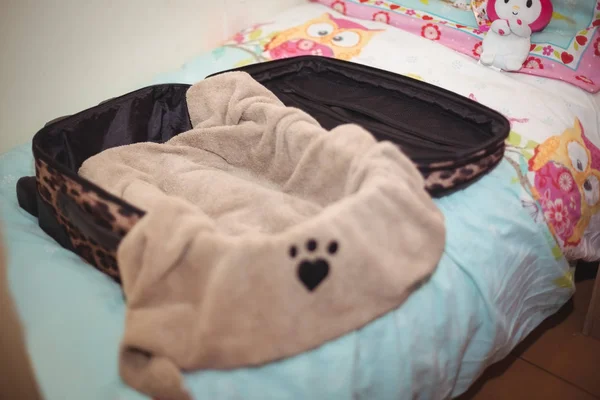 Suitcase Blanket Dog Bed Dog Care Center — Stock Photo, Image