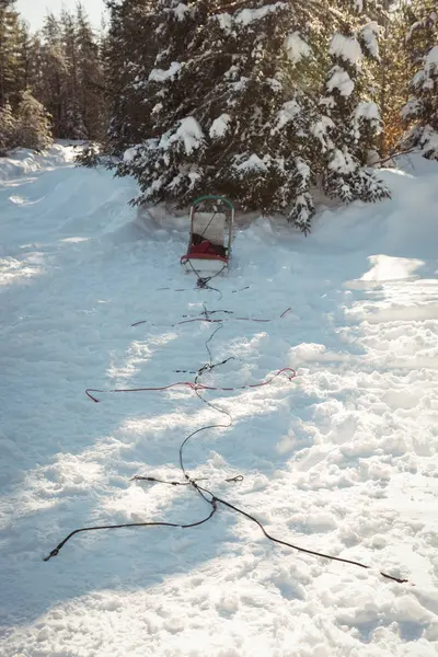 在雪景的树附近空荡荡的雪橇 — 图库照片