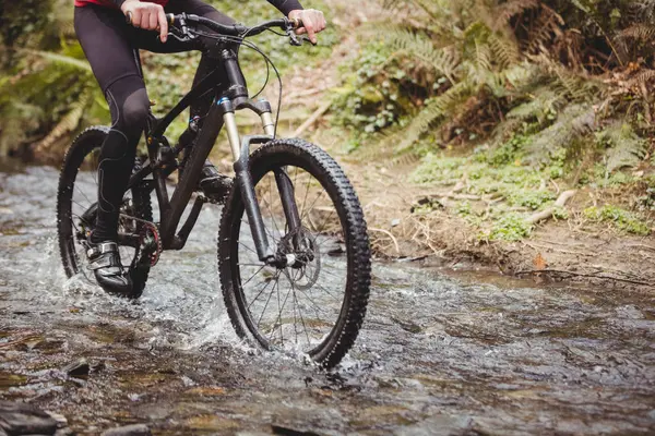 Low Section Mountain Biker Riding Stream Forest — Stock Photo, Image