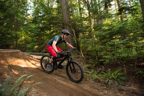 Male Cyclist Cycling Forest Sunny Day — Stock Photo, Image