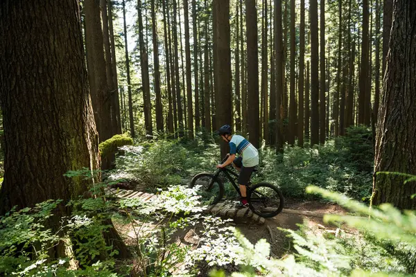 Male Cyclist Cycling Forest Sunlight — Stock Photo, Image