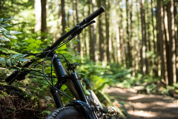 Close Sport Bicycle Forest Sunlight — Stock Photo, Image