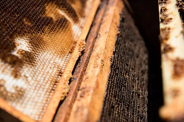Close Honeycomb Wooden Box — Stock Photo, Image