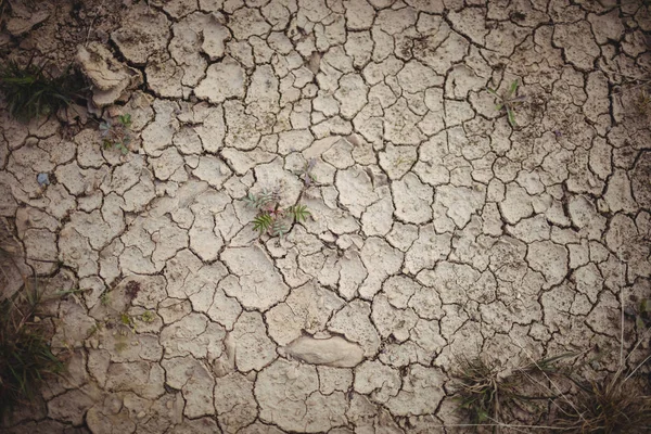 乾燥した茶色割れた地面のクローズ アップ — ストック写真