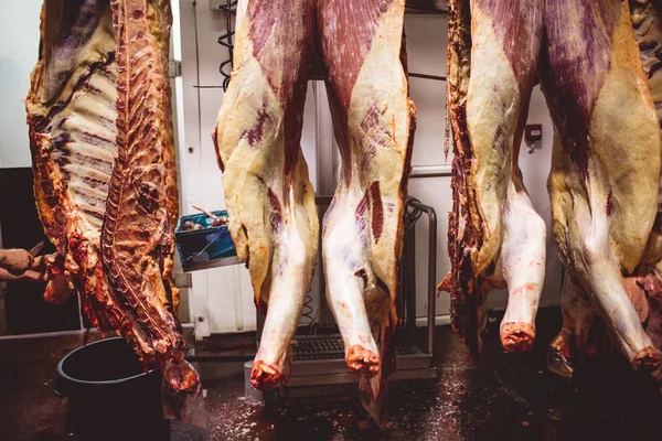 Carne Roja Pelada Colgada Almacén Carnicería —  Fotos de Stock