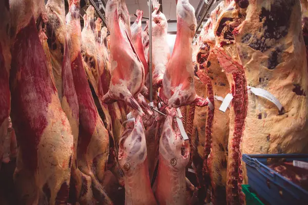 Carne Roja Pelada Colgada Almacén Carnicería — Foto de Stock