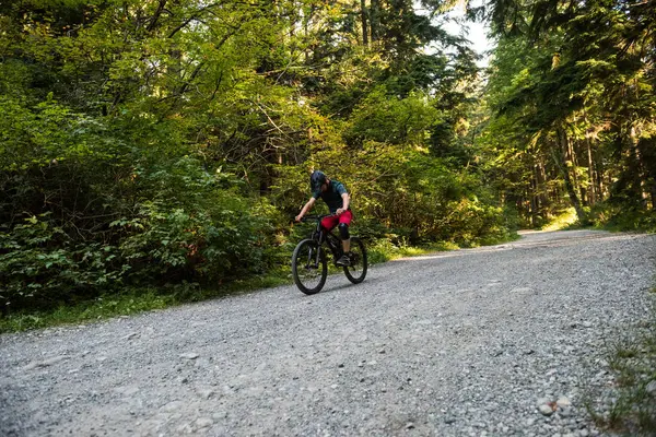 Male Cyclist Cycling Forest Sunny Day — Stock Photo, Image