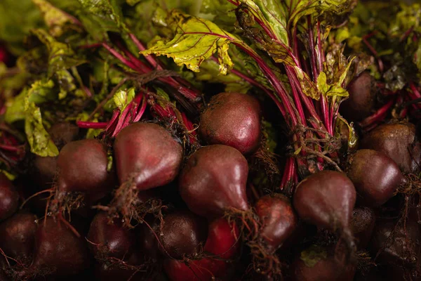 新鲜一束红甜菜根的特写镜头 — 图库照片